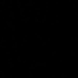 Meet your Posher, Trent